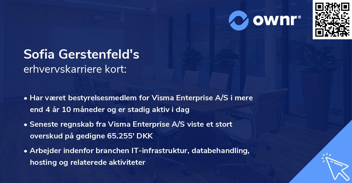 Sofia Gerstenfeld's erhvervskarriere kort