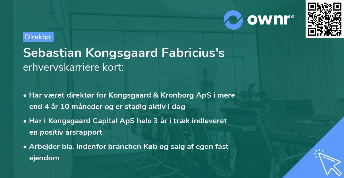 Sebastian Kongsgaard Fabricius's erhvervskarriere kort