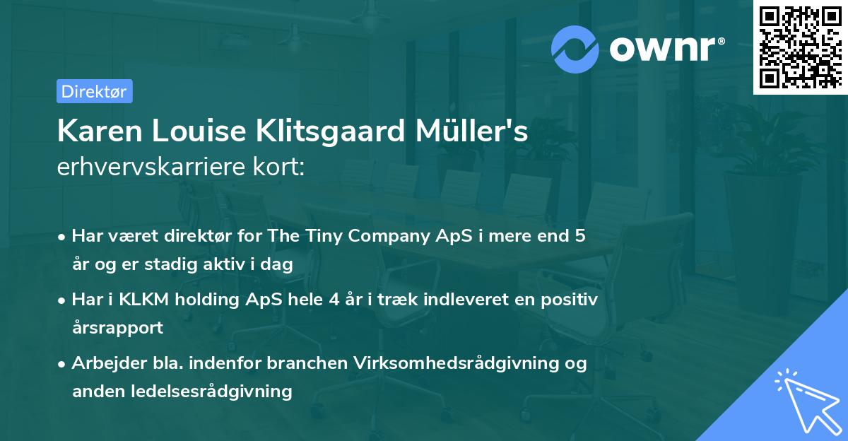 Karen Louise Klitsgaard Müller's erhvervskarriere kort