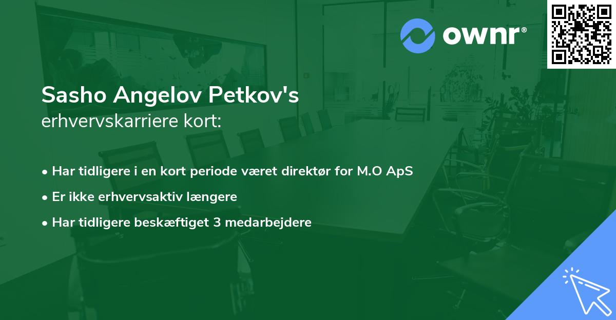 Sasho Angelov Petkov's erhvervskarriere kort