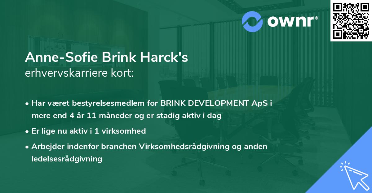 Anne-Sofie Brink Harck's erhvervskarriere kort