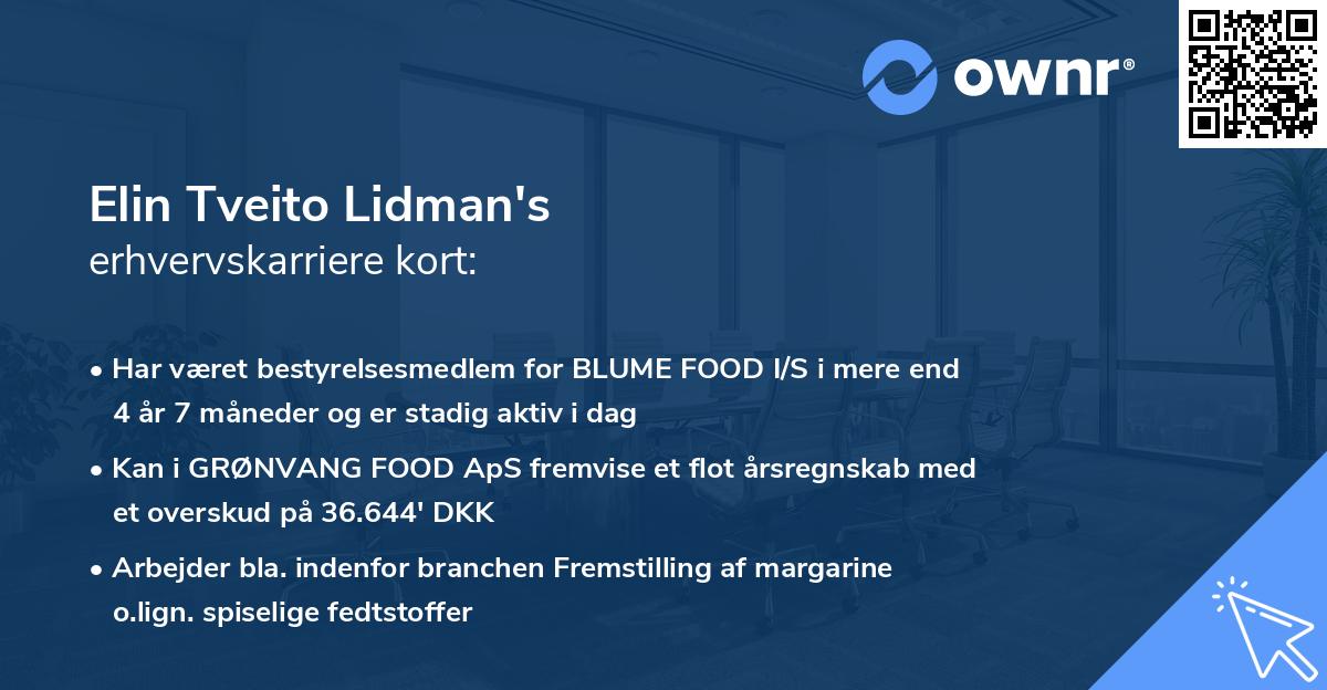 Elin Tveito Lidman's erhvervskarriere kort