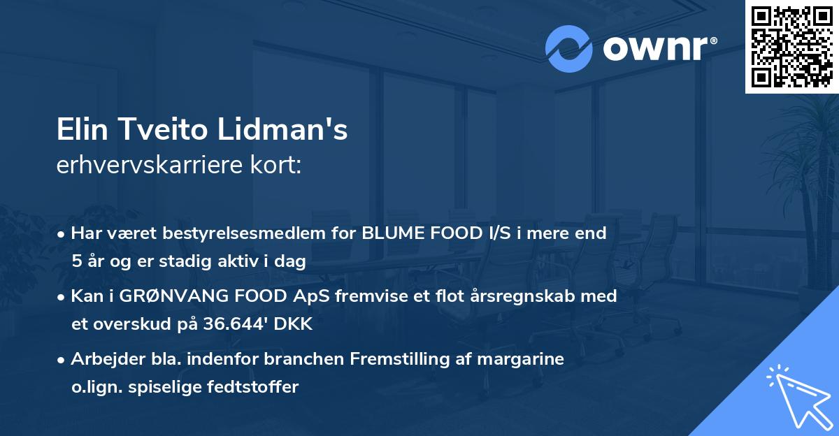 Elin Tveito Lidman's erhvervskarriere kort