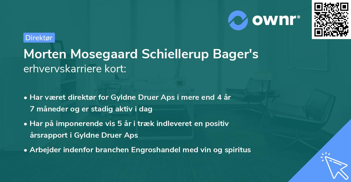 Morten Mosegaard Schiellerup Bager's erhvervskarriere kort