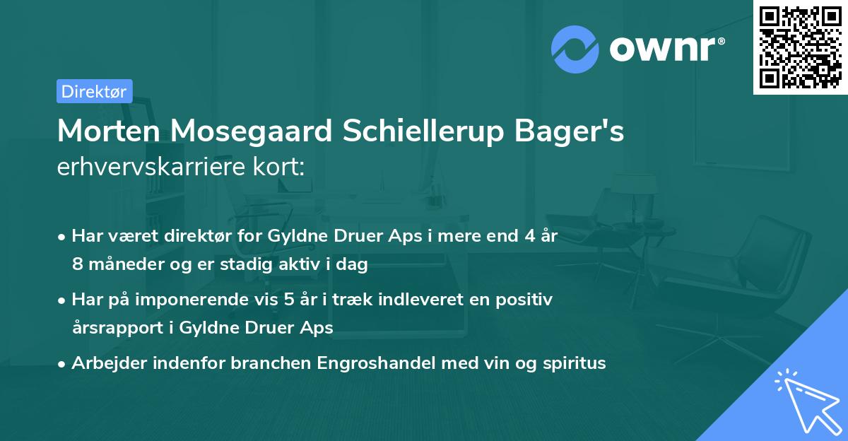 Morten Mosegaard Schiellerup Bager's erhvervskarriere kort