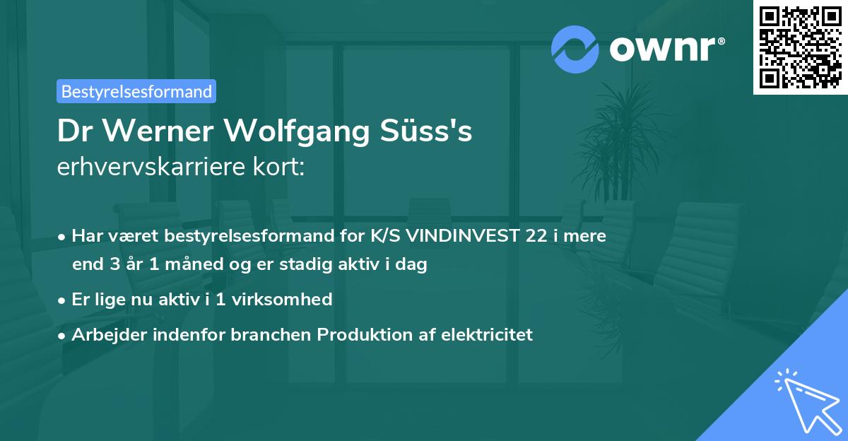 Dr Werner Wolfgang Süss's erhvervskarriere kort