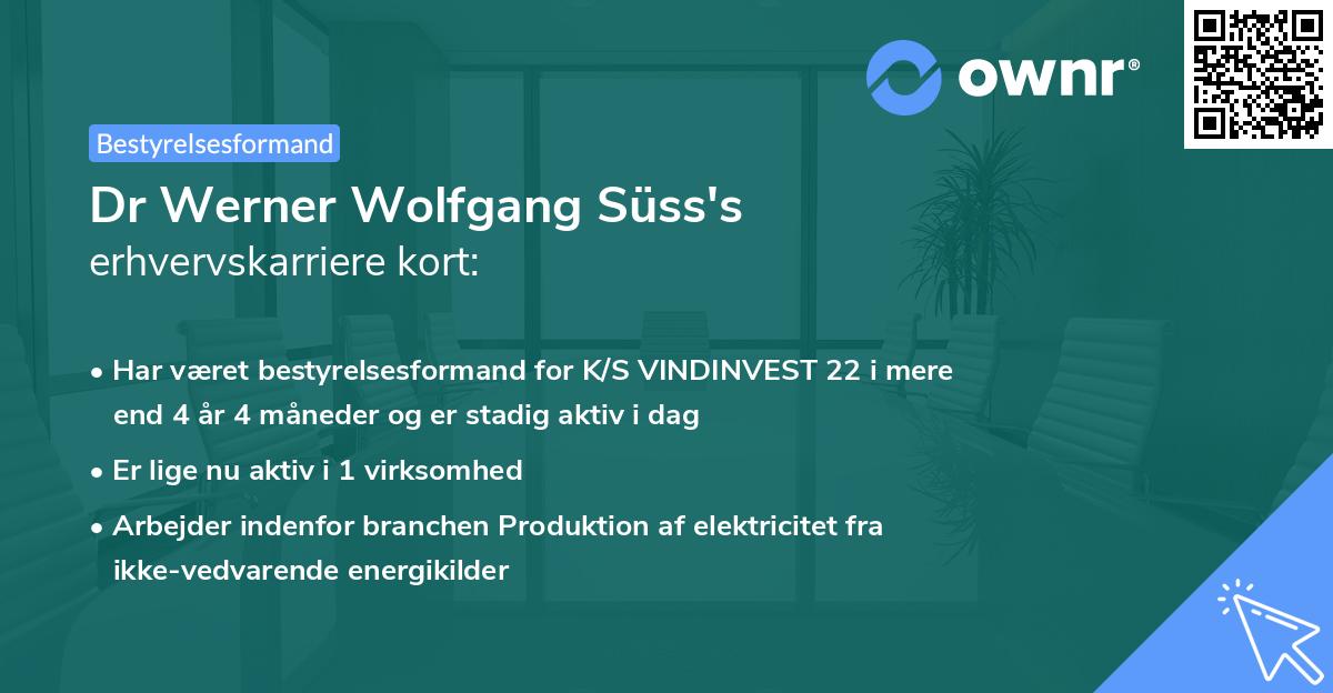Dr Werner Wolfgang Süss's erhvervskarriere kort