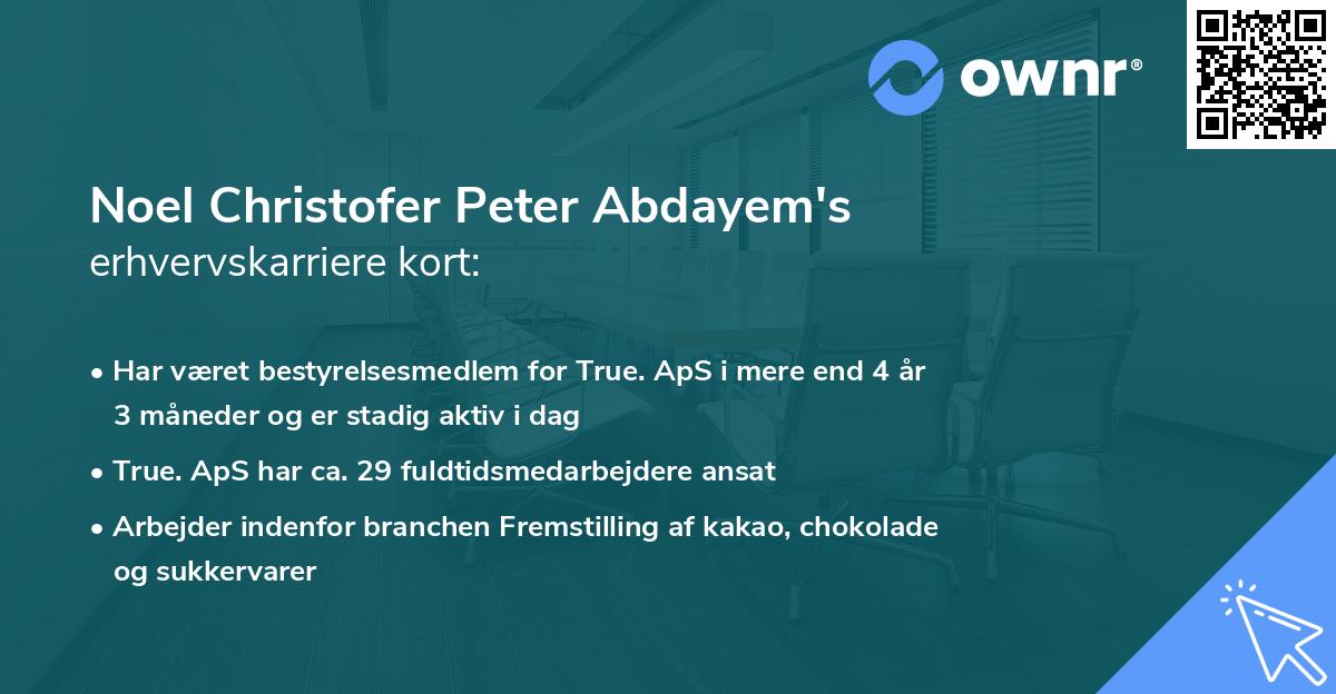 Noel Christofer Peter Abdayem's erhvervskarriere kort