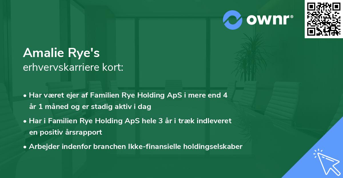 Amalie Rye's erhvervskarriere kort