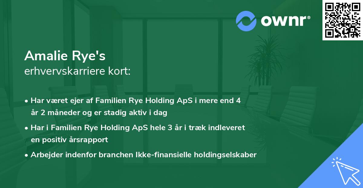 Amalie Rye's erhvervskarriere kort