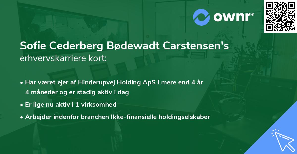 Sofie Cederberg Bødewadt Carstensen's erhvervskarriere kort