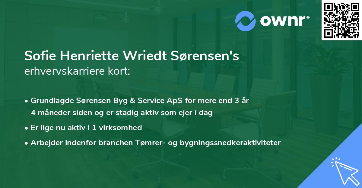 Sofie Henriette Wriedt Sørensen's erhvervskarriere kort