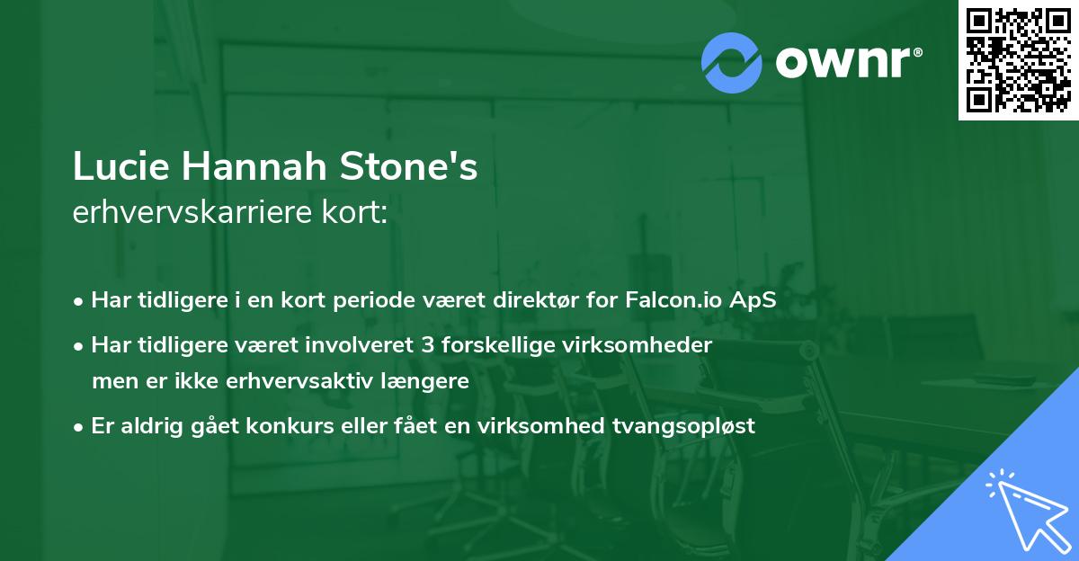 Lucie Hannah Stone's erhvervskarriere kort