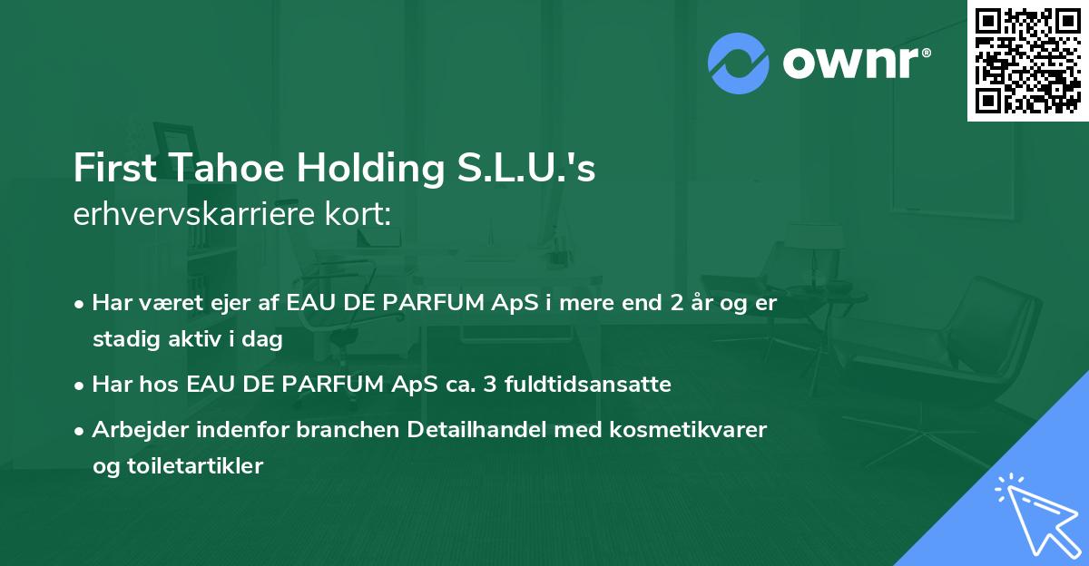 First Tahoe Holding S.L.U.'s erhvervskarriere kort