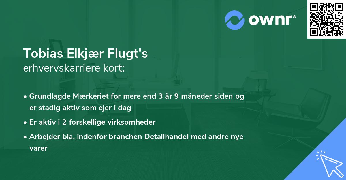 Tobias Elkjær Flugt's erhvervskarriere kort