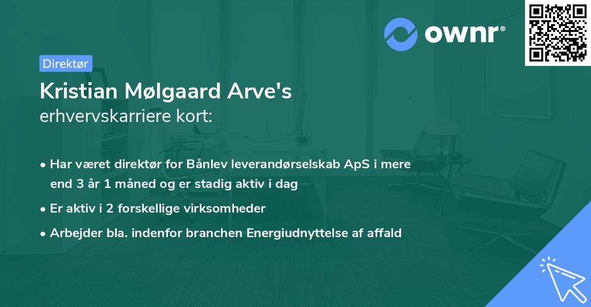 Kristian Mølgaard Arve's erhvervskarriere kort