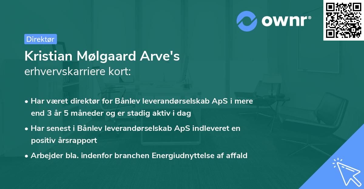 Kristian Mølgaard Arve's erhvervskarriere kort