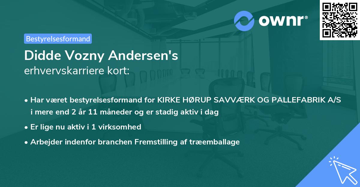 Didde Vozny Andersen's erhvervskarriere kort