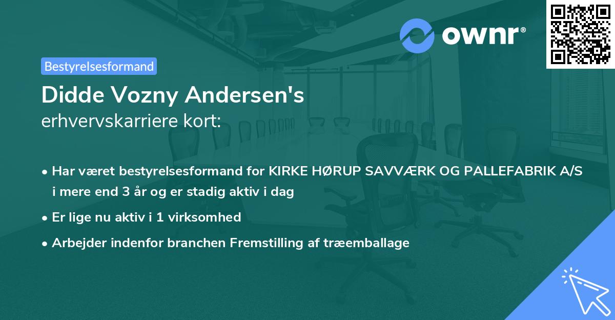Didde Vozny Andersen's erhvervskarriere kort