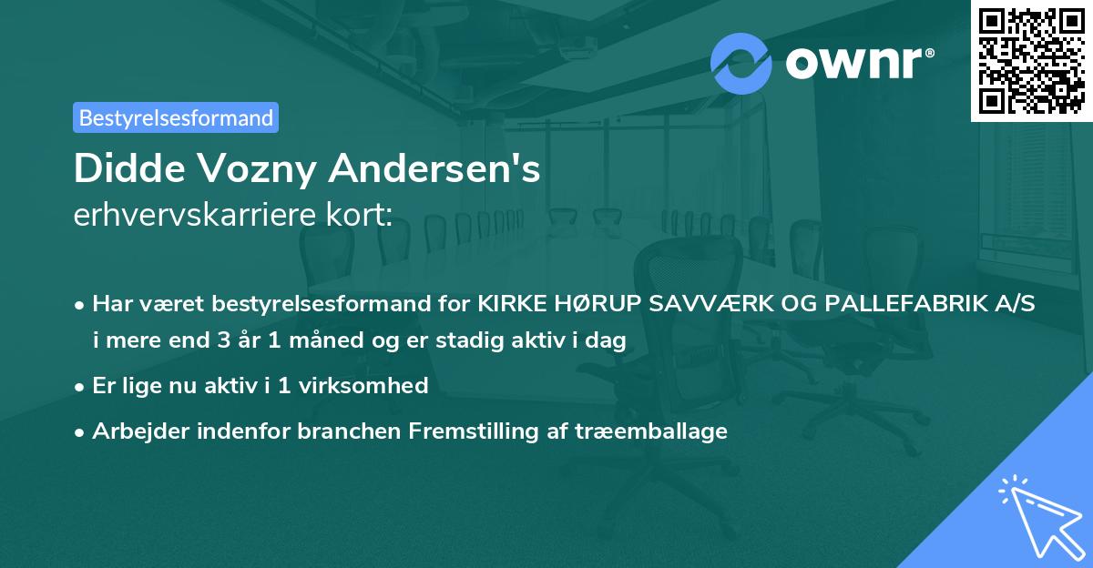Didde Vozny Andersen's erhvervskarriere kort
