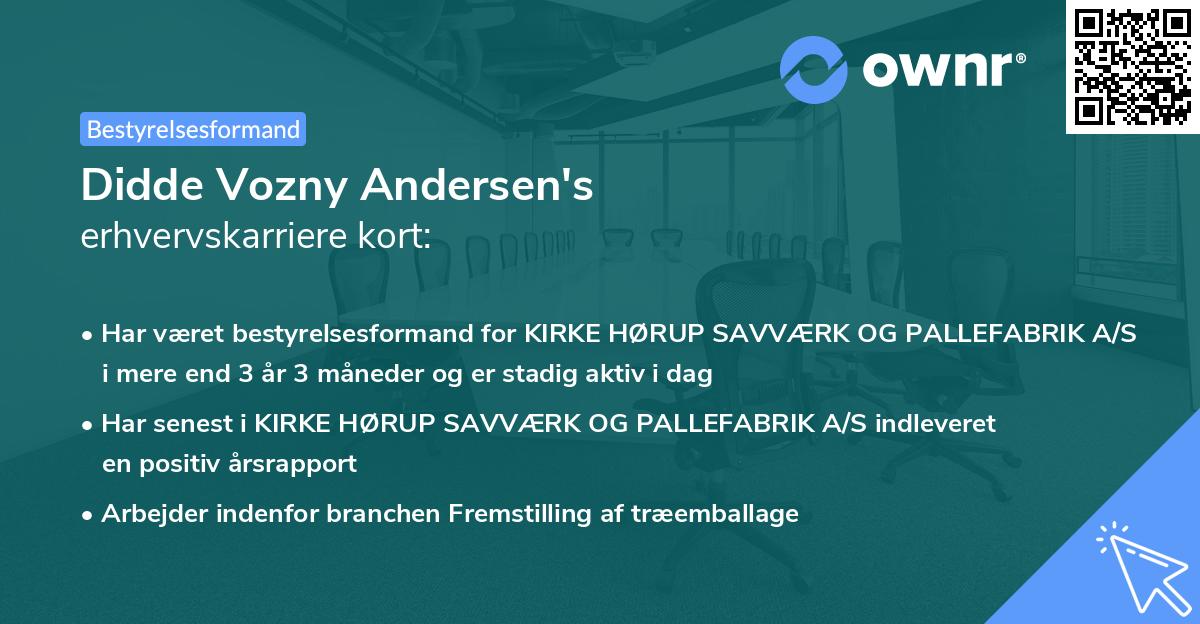 Didde Vozny Andersen's erhvervskarriere kort