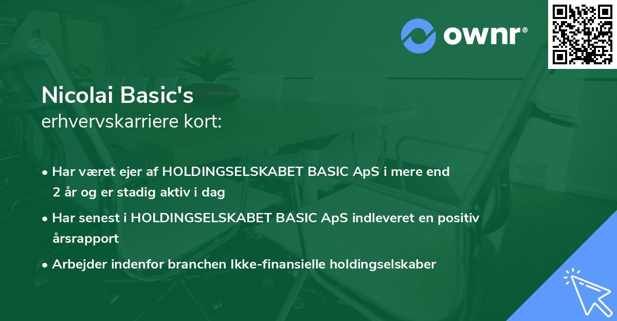 Nicolai Basic's erhvervskarriere kort