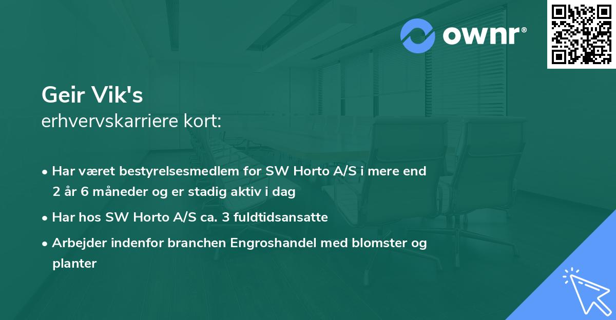 Geir Vik's erhvervskarriere kort