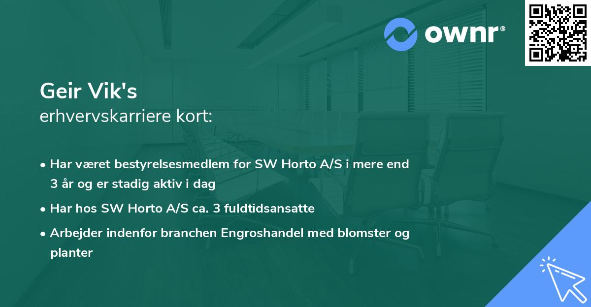 Geir Vik's erhvervskarriere kort