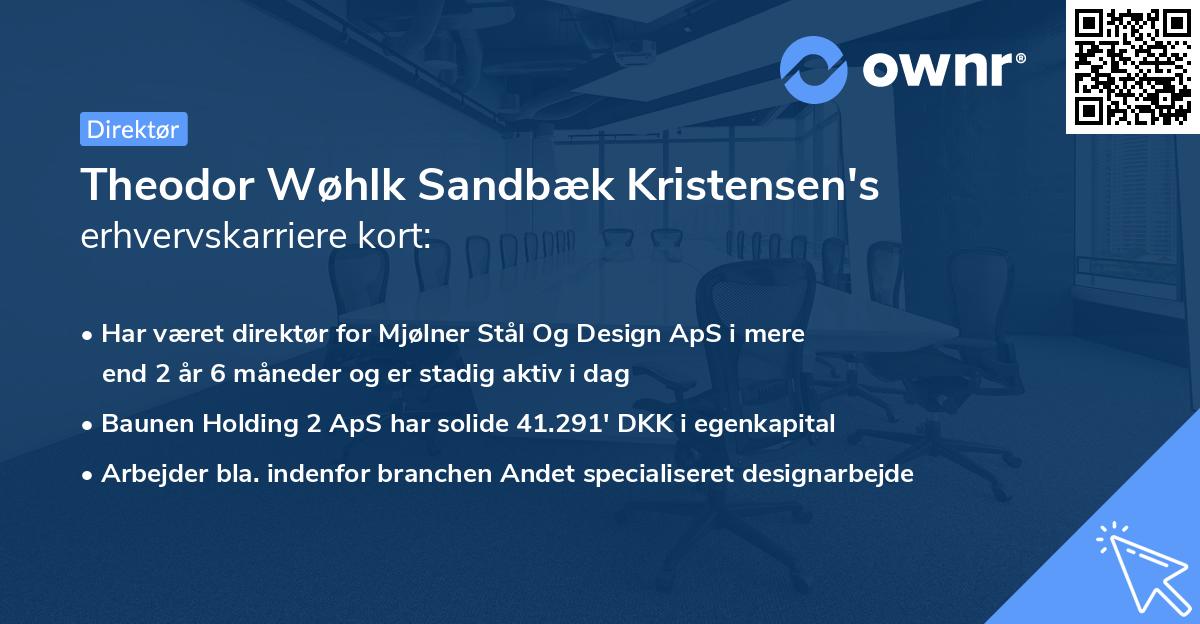 Theodor Wøhlk Sandbæk Kristensen's erhvervskarriere kort