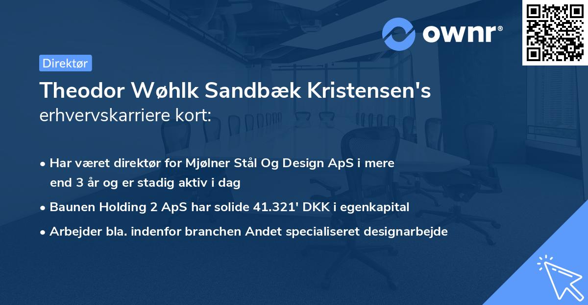 Theodor Wøhlk Sandbæk Kristensen's erhvervskarriere kort