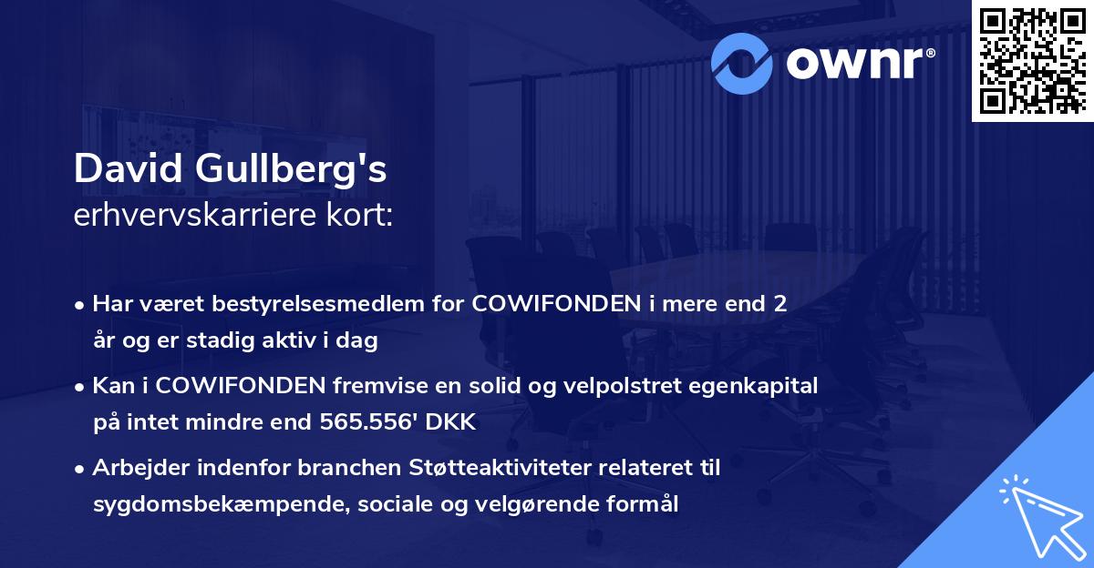 David Gullberg's erhvervskarriere kort