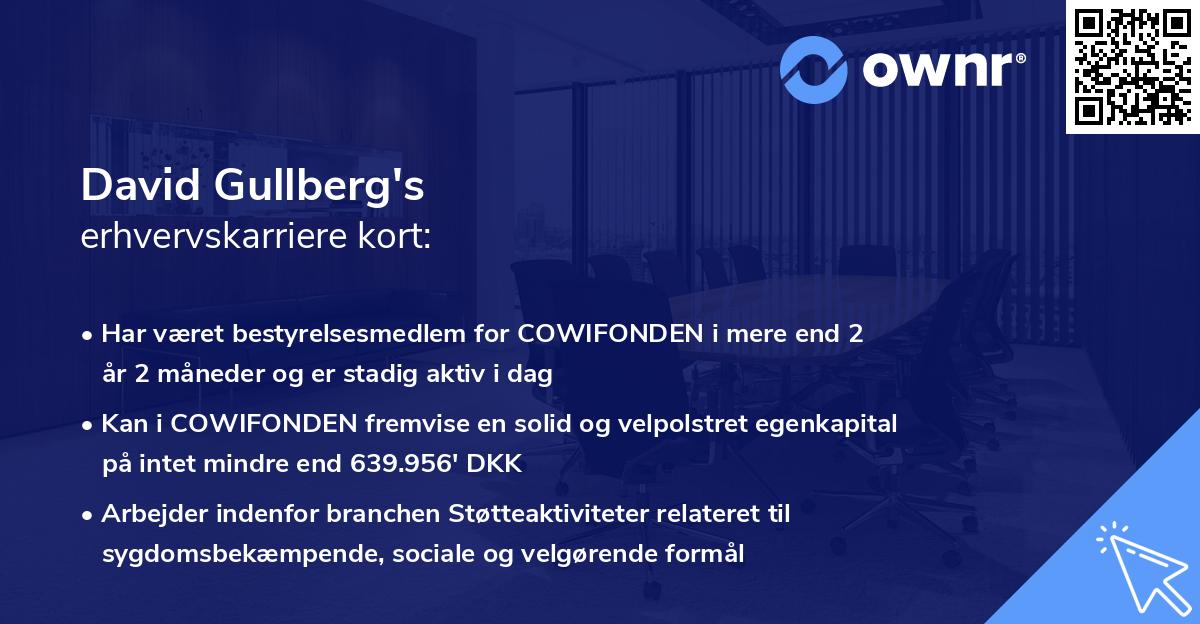 David Gullberg's erhvervskarriere kort