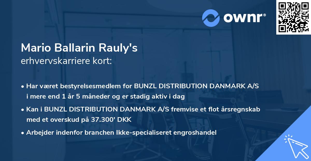 Mario Ballarin Rauly's erhvervskarriere kort