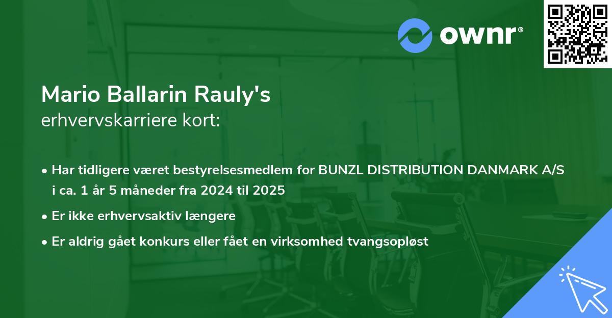 Mario Ballarin Rauly's erhvervskarriere kort