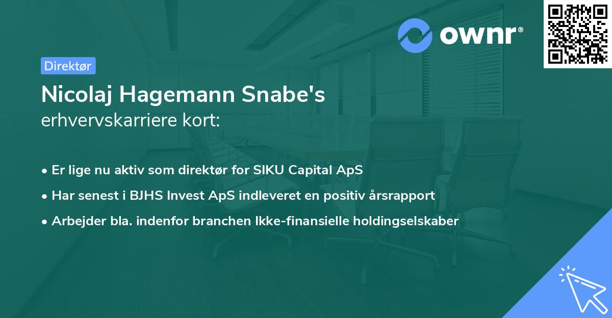 Nicolaj Hagemann Snabe's erhvervskarriere kort