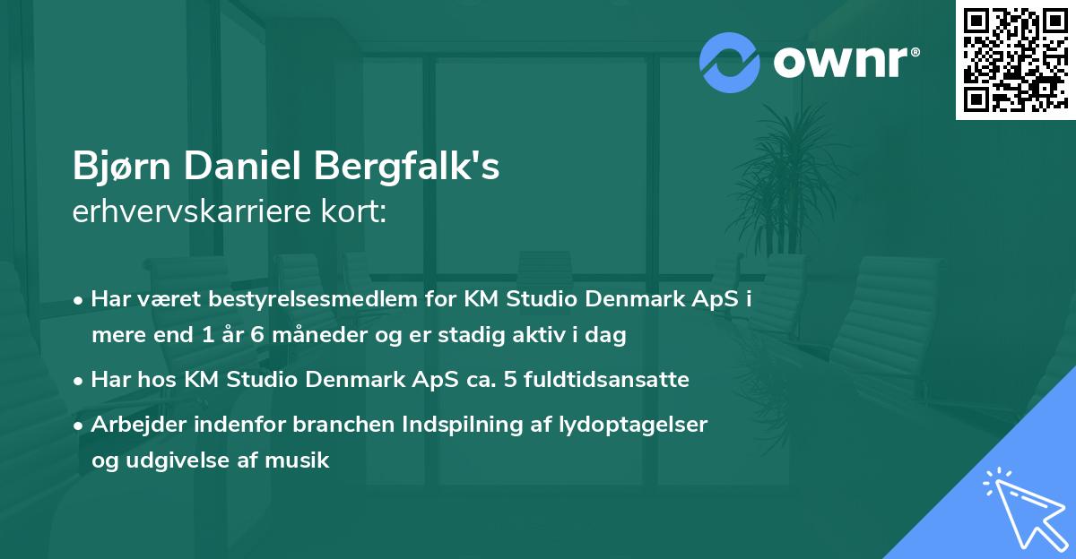 Bjørn Daniel Bergfalk's erhvervskarriere kort