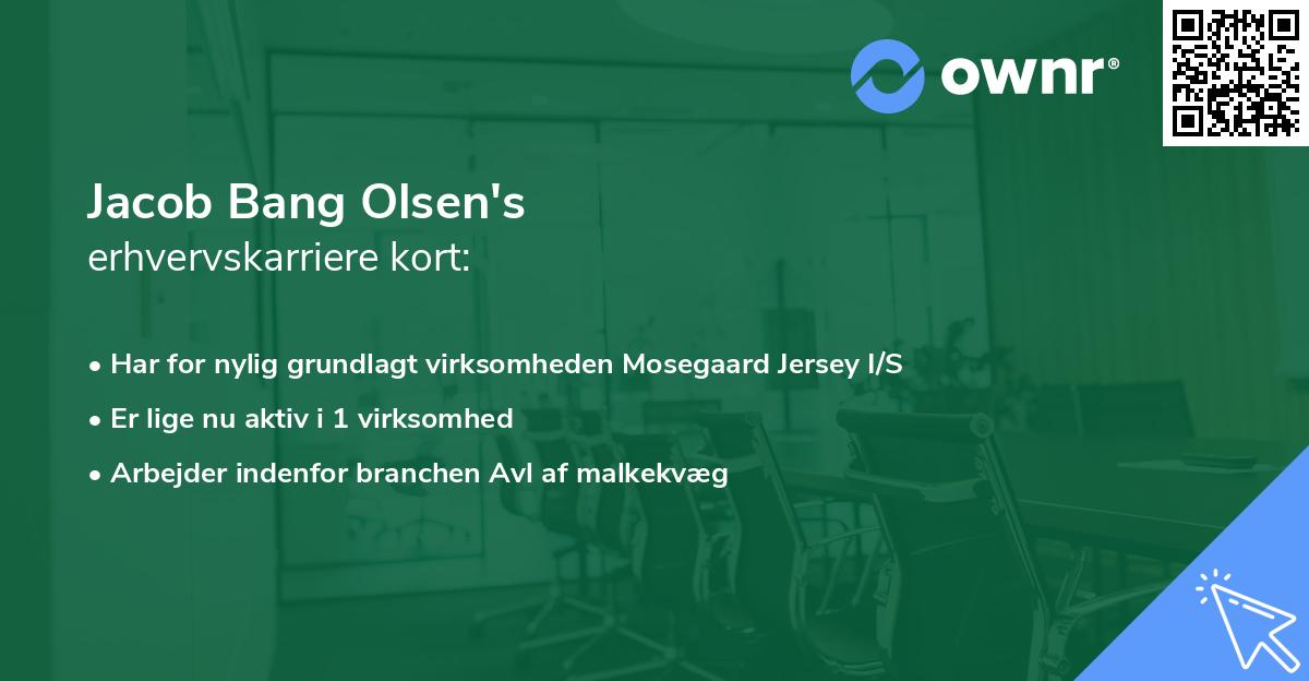 Jacob Bang Olsen's erhvervskarriere kort