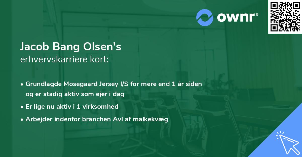 Jacob Bang Olsen's erhvervskarriere kort