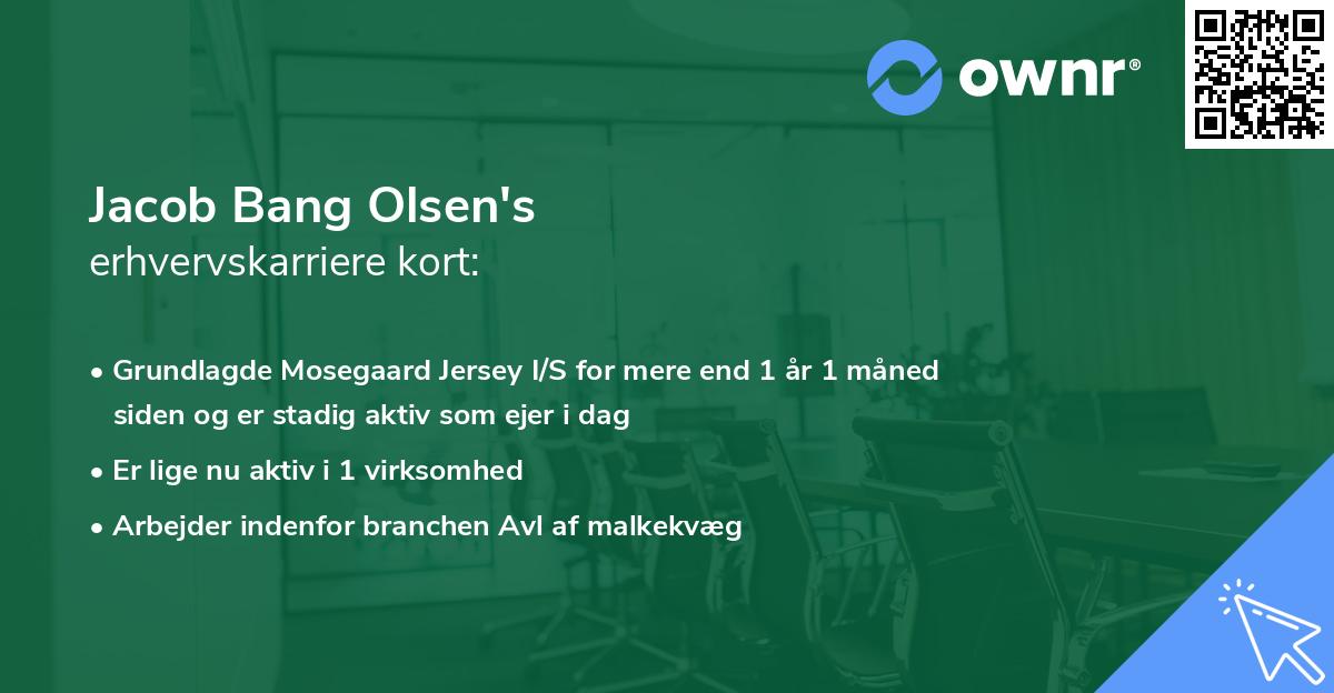 Jacob Bang Olsen's erhvervskarriere kort