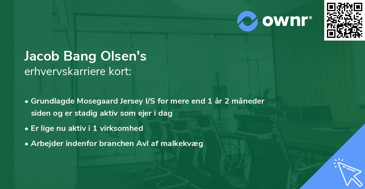Jacob Bang Olsen's erhvervskarriere kort