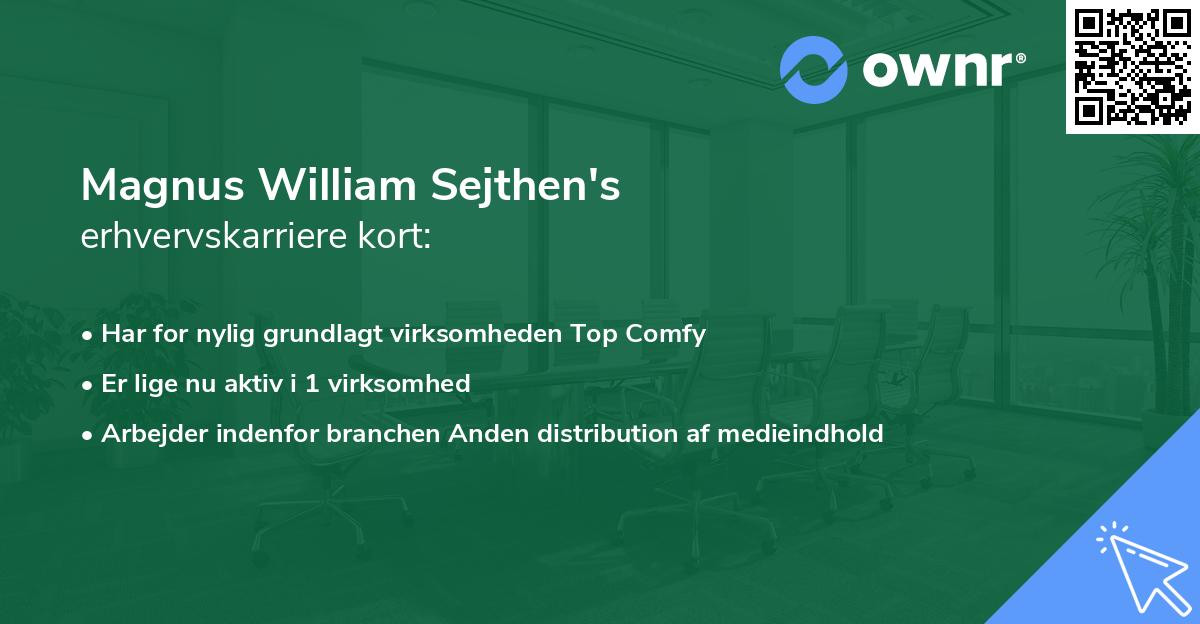 Magnus William Sejthen's erhvervskarriere kort