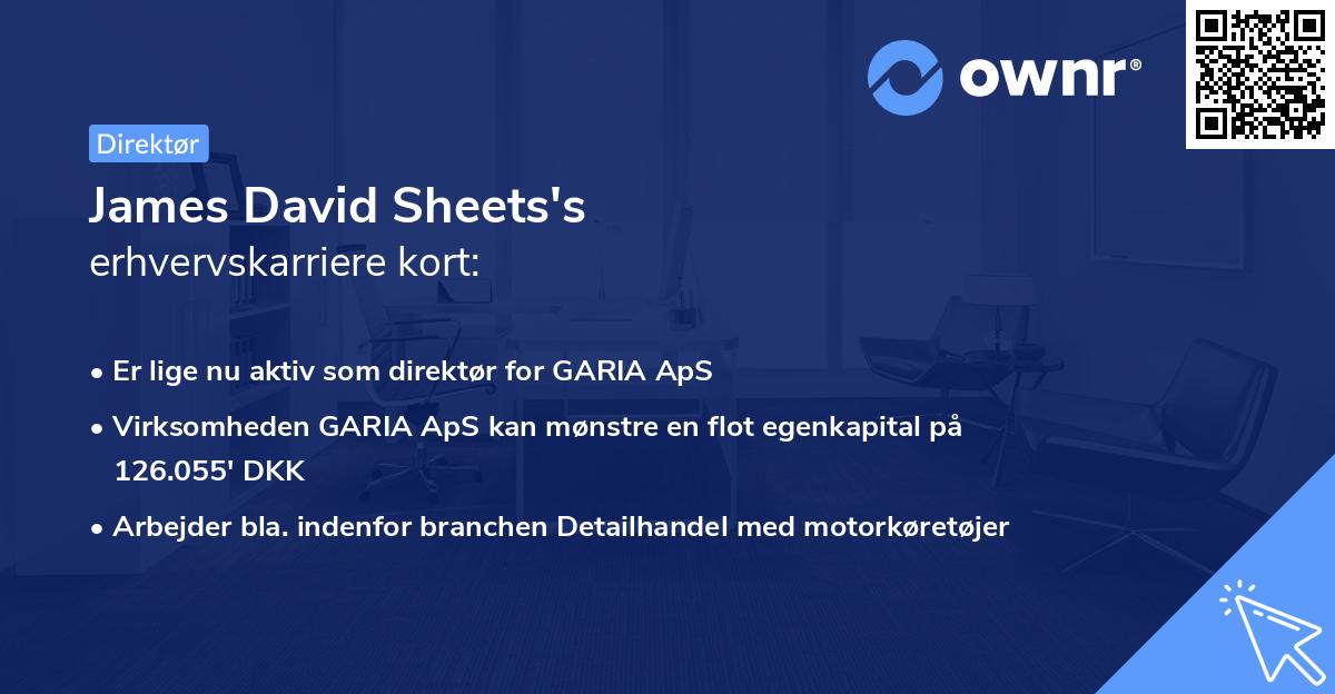 James David Sheets's erhvervskarriere kort