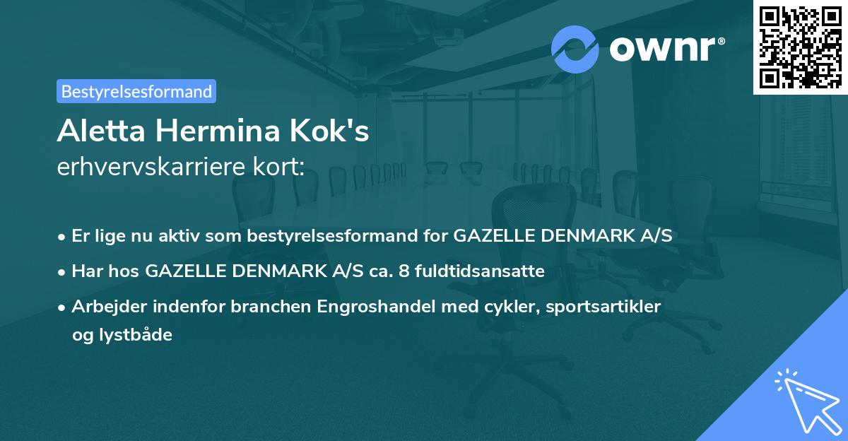 Aletta Hermina Kok's erhvervskarriere kort