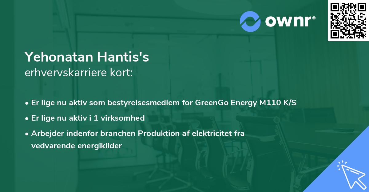 Yehonatan Hantis's erhvervskarriere kort