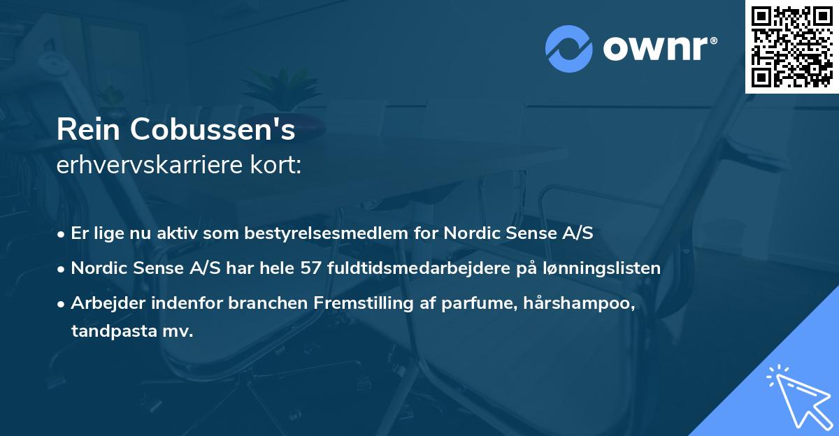 Rein Cobussen's erhvervskarriere kort
