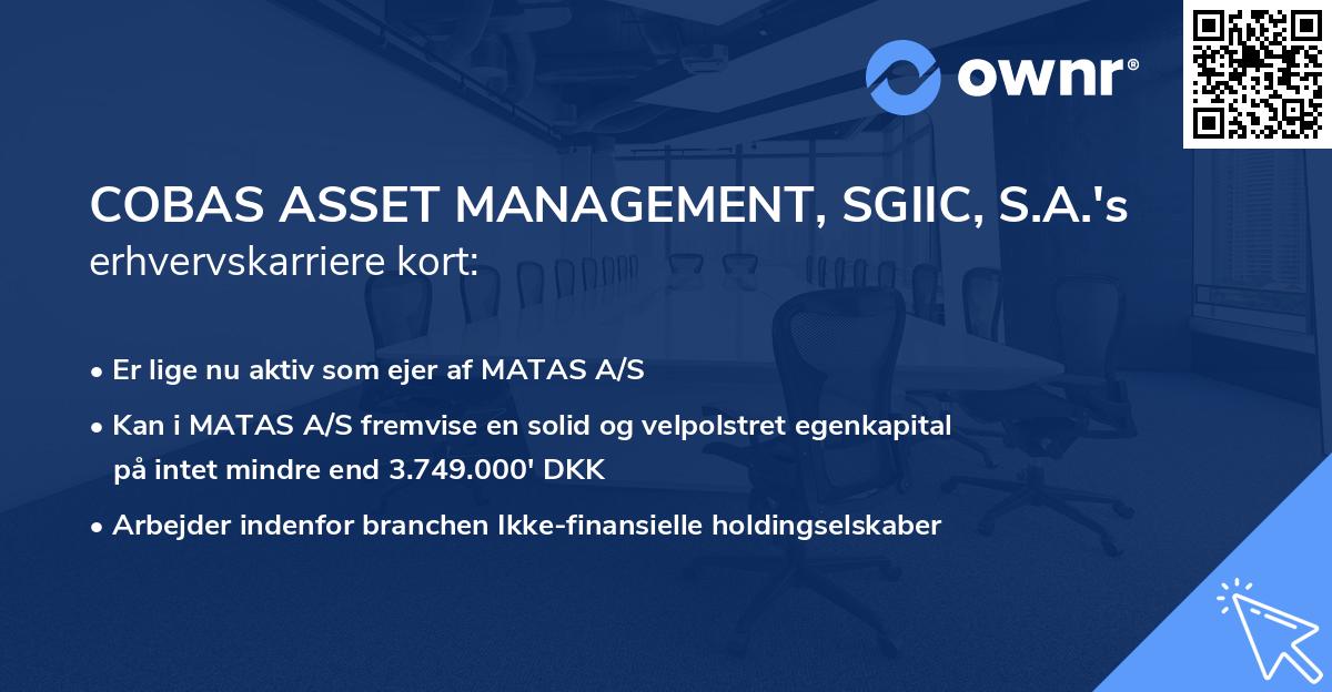 COBAS ASSET MANAGEMENT, SGIIC, S.A.'s erhvervskarriere kort