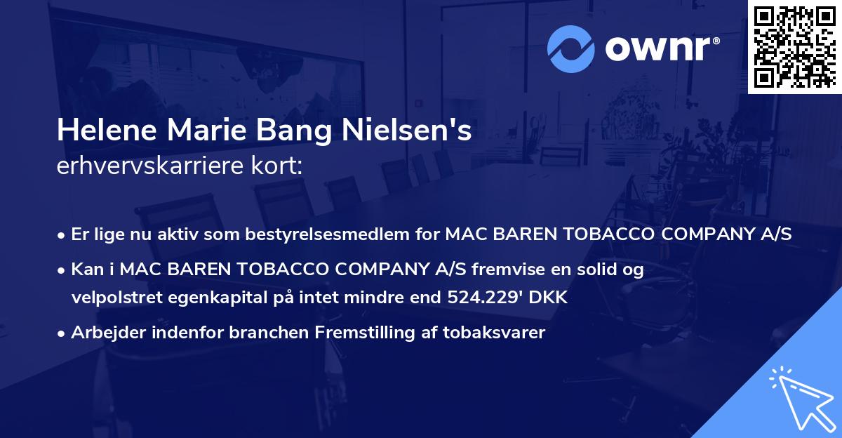 Helene Marie Bang Nielsen's erhvervskarriere kort
