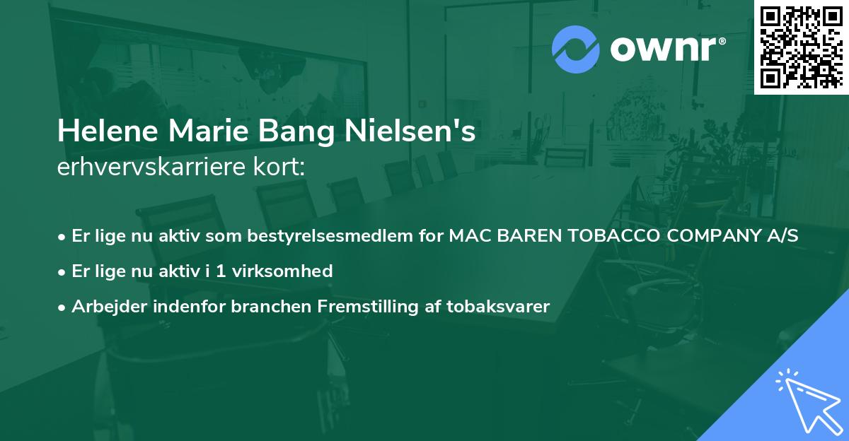 Helene Marie Bang Nielsen's erhvervskarriere kort