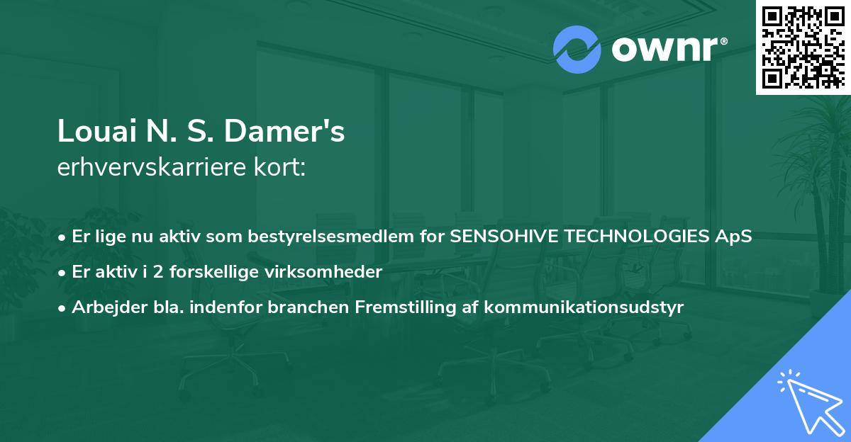 Louai N. S. Damer's erhvervskarriere kort
