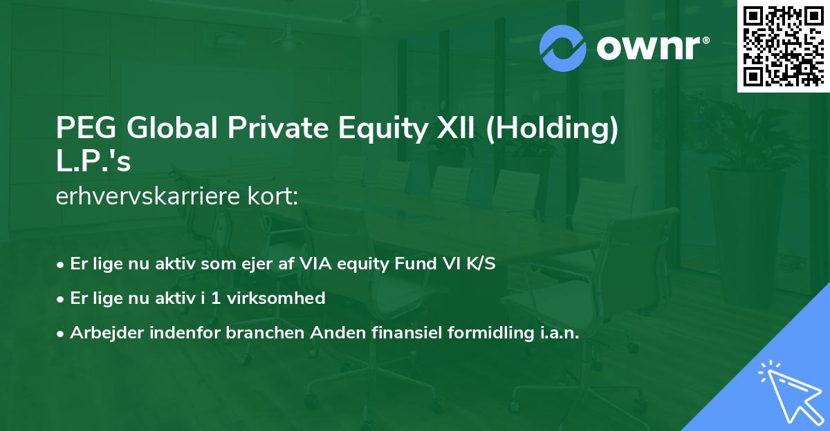 PEG Global Private Equity XII (Holding) L.P.'s erhvervskarriere kort